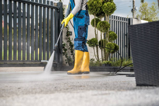 Animal Enclosure Cleaning in Metzger, OR